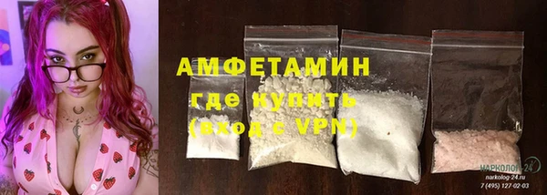 стаф Арсеньев