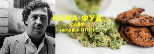 стаф Арсеньев