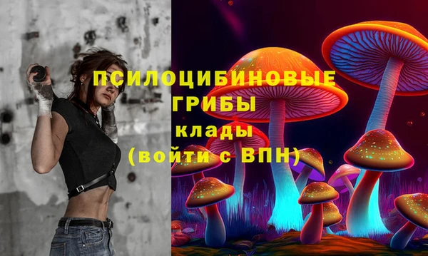 трава Армянск