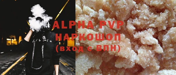 стаф Арсеньев